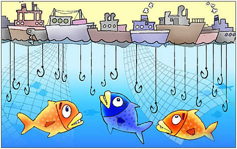 Overfishing