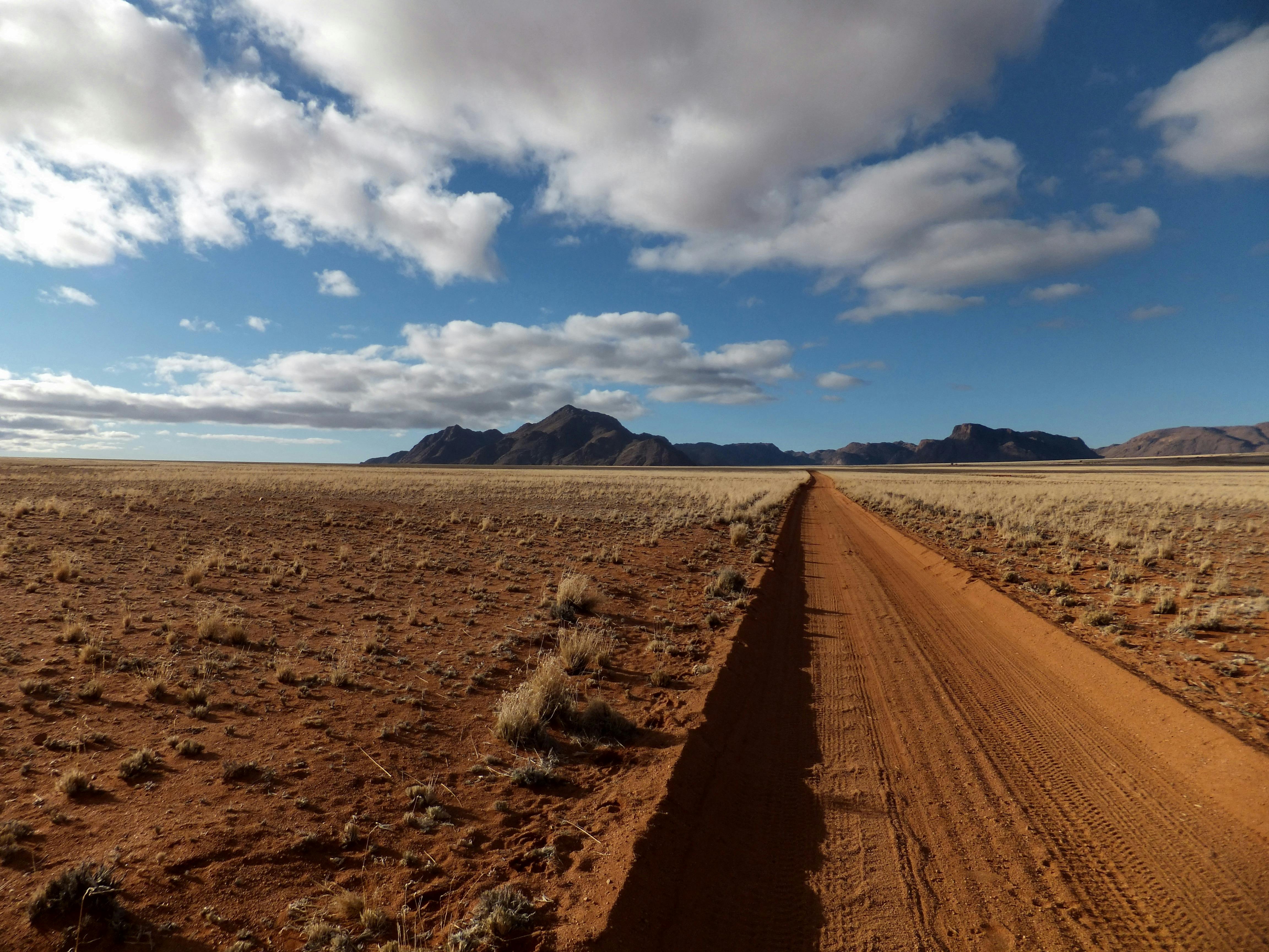 Degraded Land