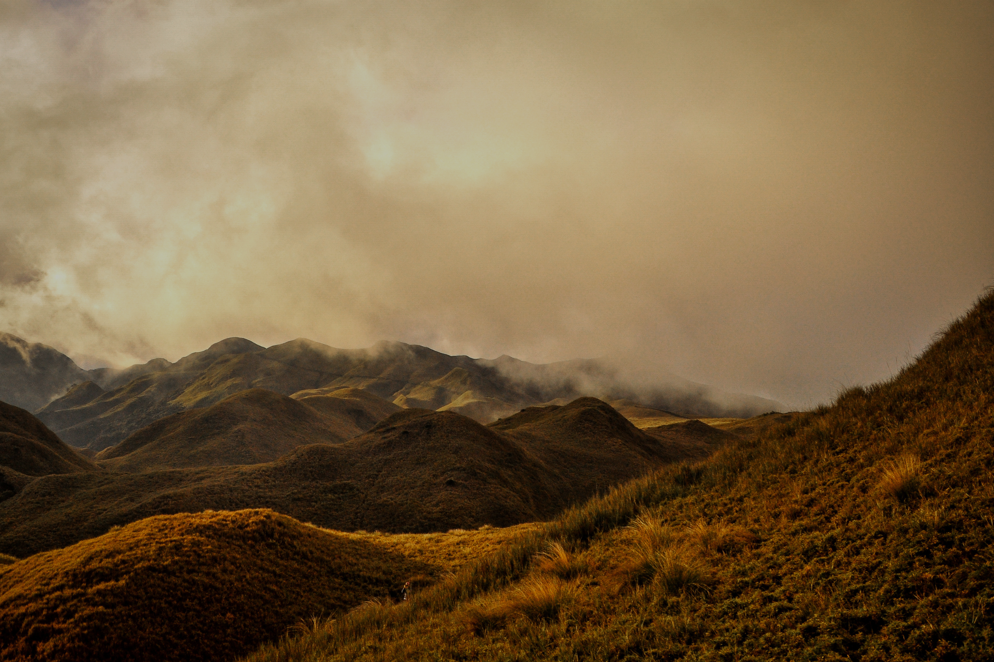 Mt. Pulag