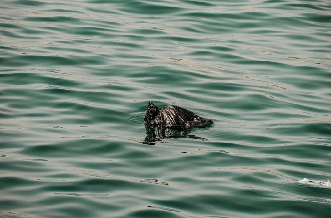 Plastic in ocean